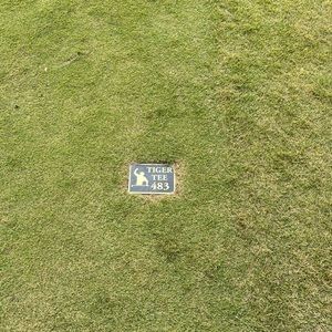 Meet your Posher, Nicholas